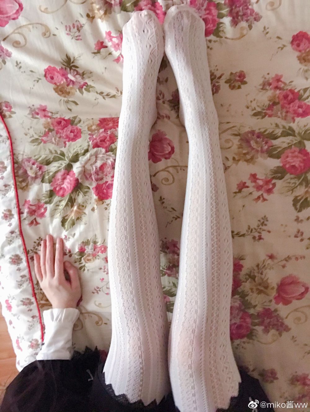 洛丽塔萝莉 – 537